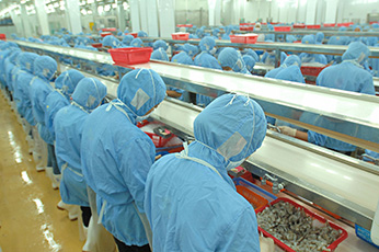 食品工廠車間排水溝設(shè)計