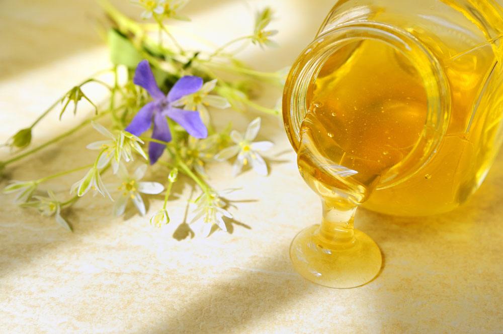 蜂蜜制品企業目錄——華盛興邦