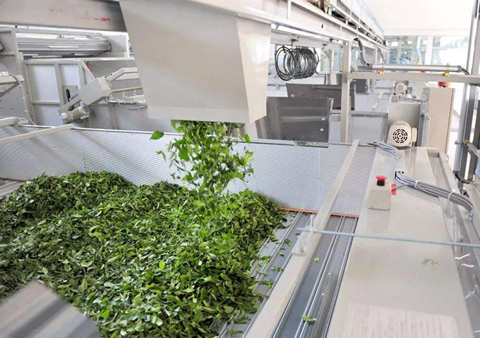 貴州芳緣茗品農業科技集團有限公司